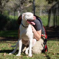 Photo of Max