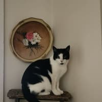 Photo of Melvin