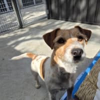 Photo of Aggie! 🌻