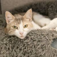 Photo of Jasmina