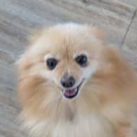 Photo of Betty