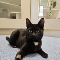 Photo of Lillith
