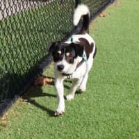 Photo of Coco