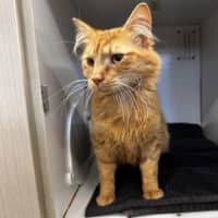 Photo of Sigmund 
