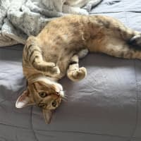 Photo of Matilda