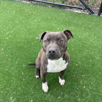 Photo of Axel Imp 1660