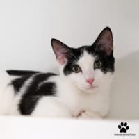 Photo of Clint