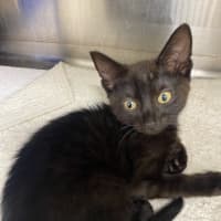 Photo of Earnest