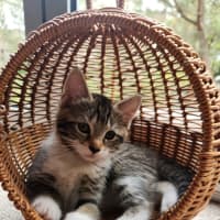 Photo of Fliss