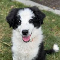 Photo of Bindi 