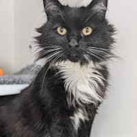 Photo of 🥞 Crepes 5730 🥞