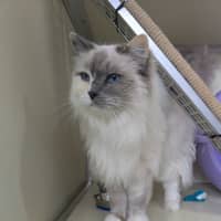 Photo of ⭐ Missy 6436 ⭐