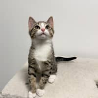 Photo of Frieren (Was Jovie)