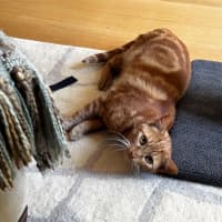 Photo of Charlie Lou Sta013002