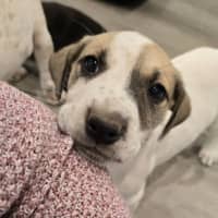 Photo of Lumpy Space Princess