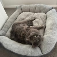 Photo of 💙 Harry 💙