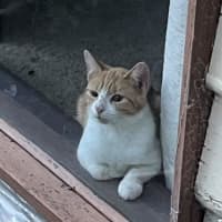 Photo of Olivia O'cleary