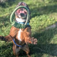 Photo of Axle