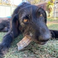 Photo of Roxy Peggotty