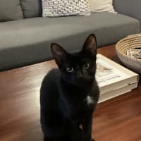 Photo of Sammy