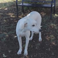 Photo of Minty