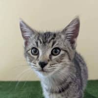 Photo of Parker