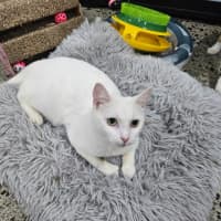 Photo of Rinnie