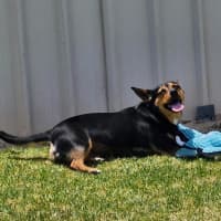 Photo of Kadie