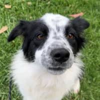 Photo of Lucy