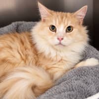 Photo of Hugo