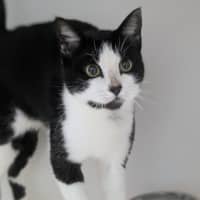 Photo of 🌱 Camila 6171 🌱