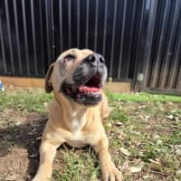 Photo of Charlie Bear