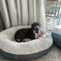 Photo of Doris