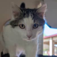 Photo of Jeffrey