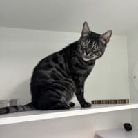 Photo of Clawdia