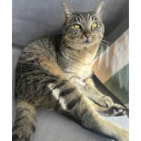 Photo of 12620   Bertie