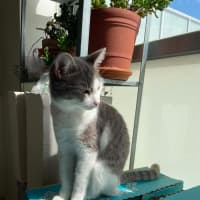 Photo of Shine