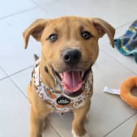 Photo of Murphy