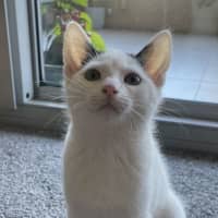 Photo of Meenie