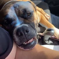 Photo of Bella 