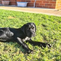 Photo of Geoffrey