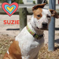 Photo of Suzie