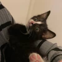 Photo of Miruku (Was Rice Bubble)