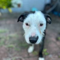 Photo of Monica