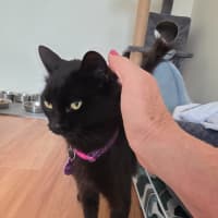 Photo of Ember