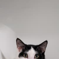 Photo of Clint