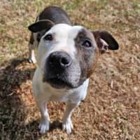 Photo of Blaze Newhaven