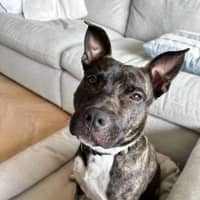 Photo of Fred