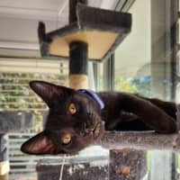 Photo of Jykell