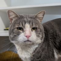 Photo of Tom
